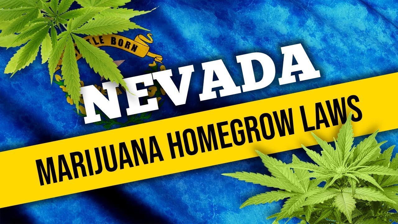 Nevada's Marijuana Laws for Home Cultivation and Medical Use in 2021