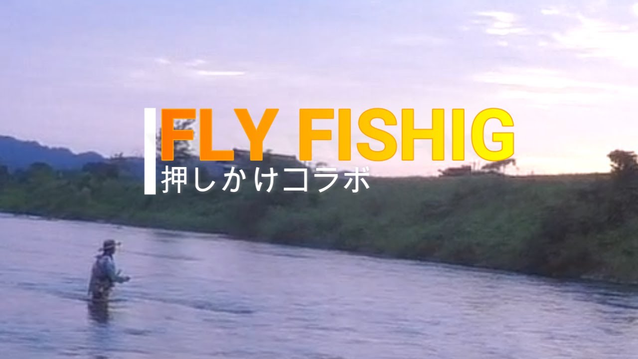 FLY FISHING　五十嵐川支流でYpepeさんとイワナ釣り　６月６日