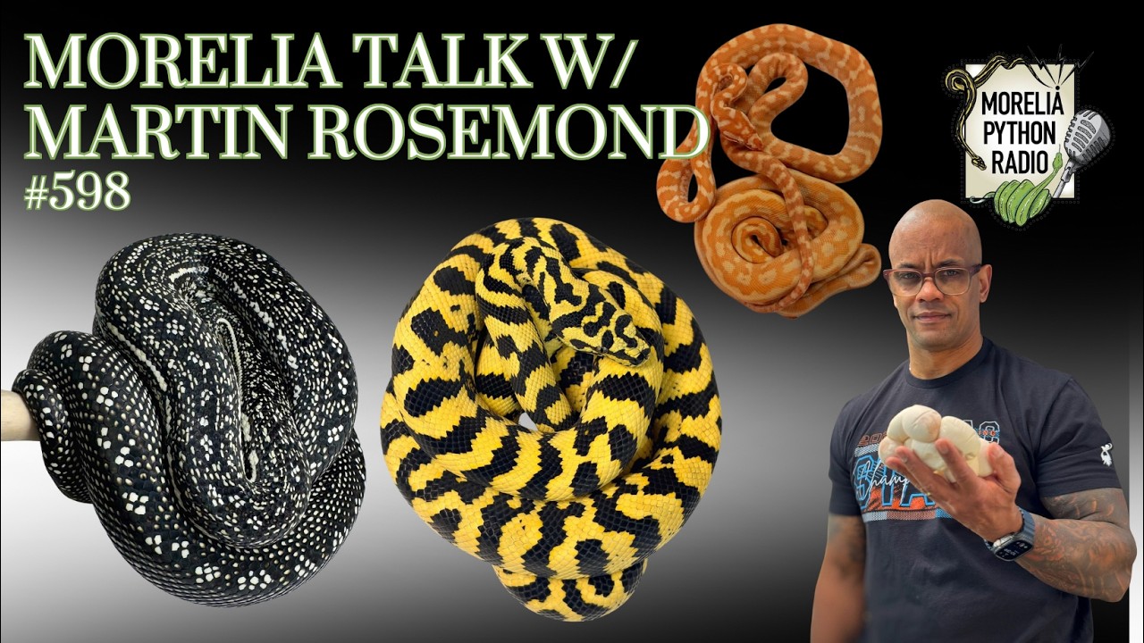 Morelia Talk w/Martin Rosemond