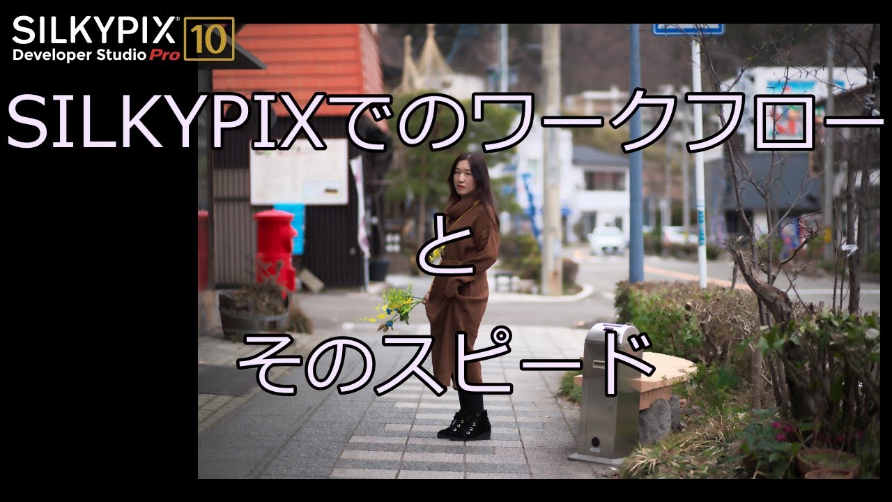 【SILKYPIX】ワークフローを見る