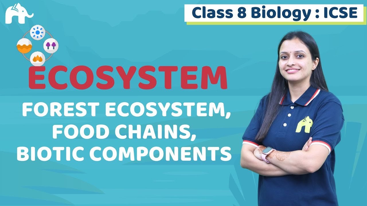 Ecosystem Class 8 ICSE Biology Chapter 4 | Selina | Forest, Food Chains, Biotic Components #1