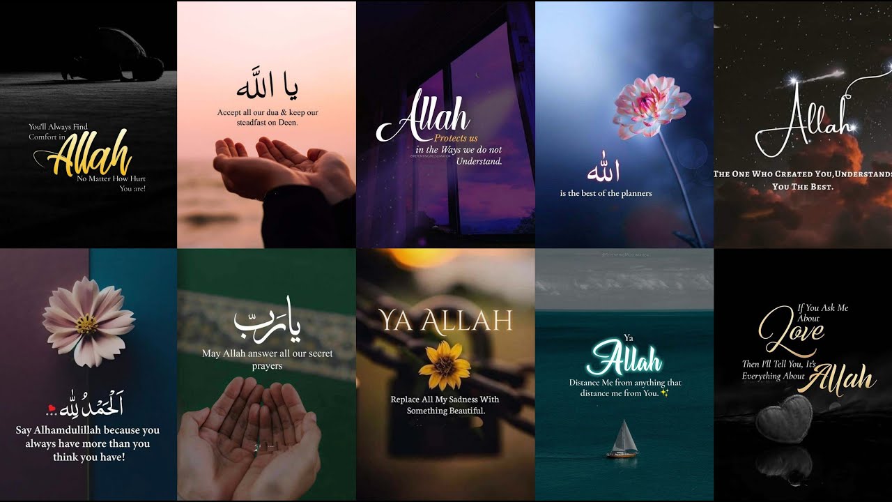 Islamic Quotes Dp images for Whatsapp || Best Islamic Quotes dp || Cute Islamic Whatsapp Dp images
