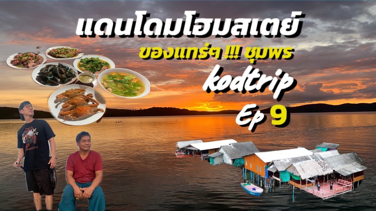 แดนโดมโฮมสเตย์ ของแทร์ ชุมพร 2024 | kodtrip Ep 9 #youtube