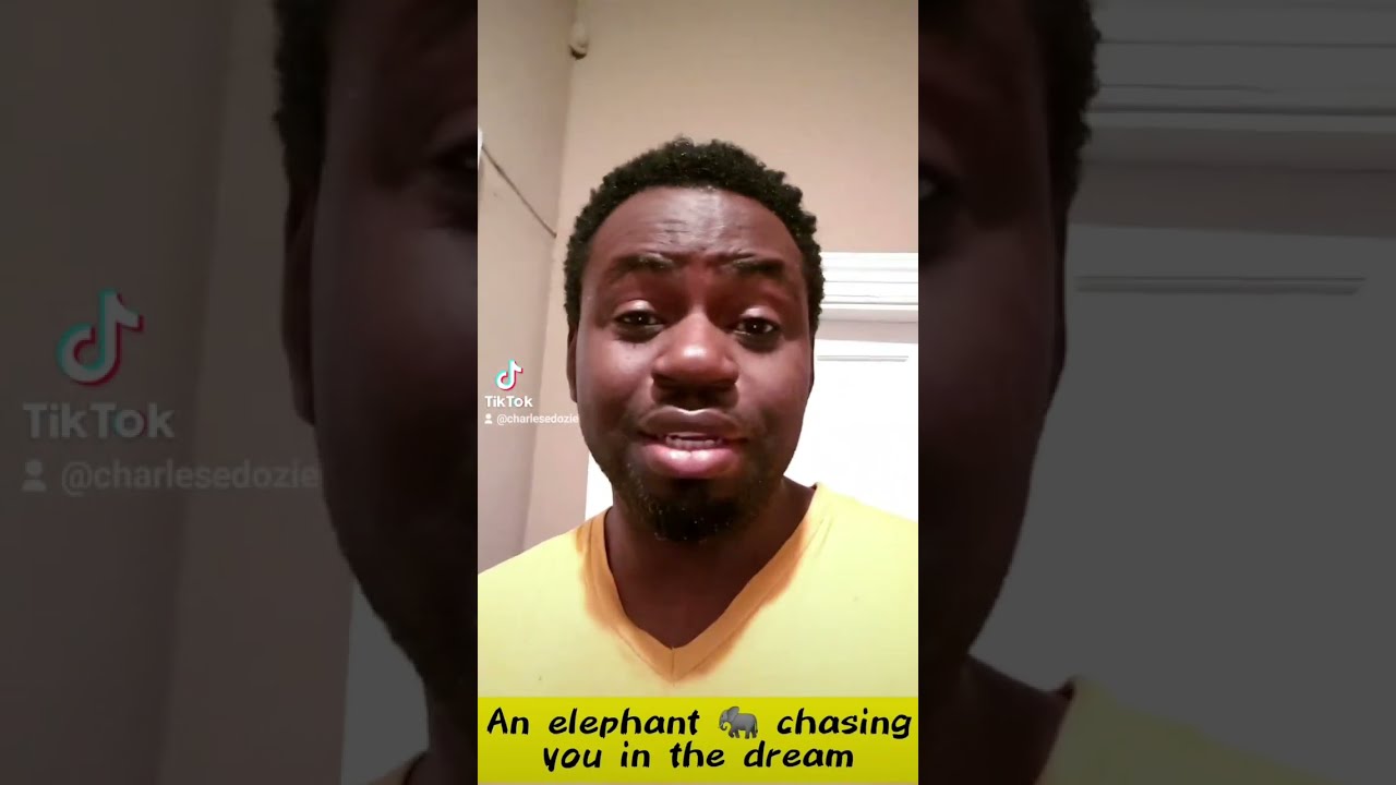 An elephant chasing you in the dream
