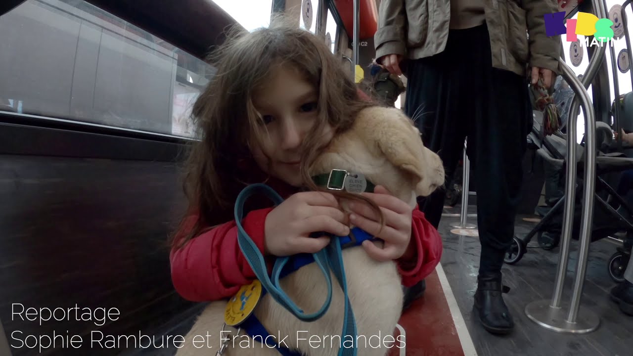 [GOOD NEWS #54] Anouk accueille Run, chien guide d'aveugle