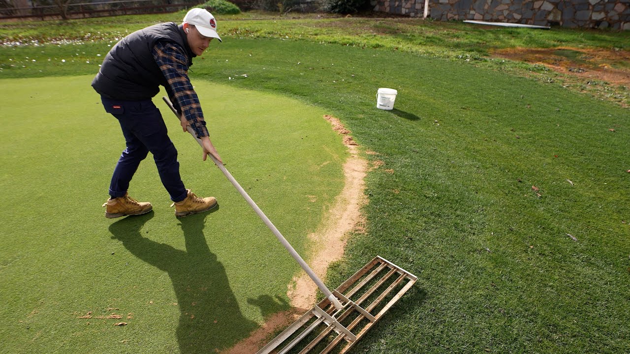 Fixing Up Bare Spots in My Lawn and Using The BEST Fertiliser