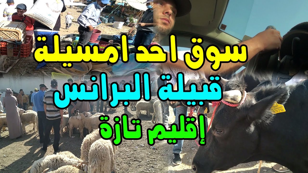 السوق الأسبوعي 
