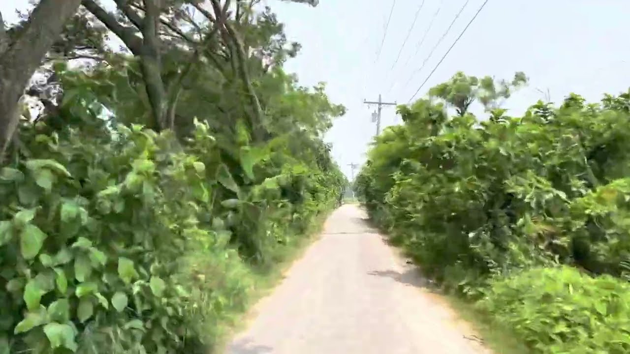 #free_motion village road/গ্রামের বাড়ির রাস্তা মাদারীপুর শিবচর মালের হাট থেকে কাজীরসুরা বাজার