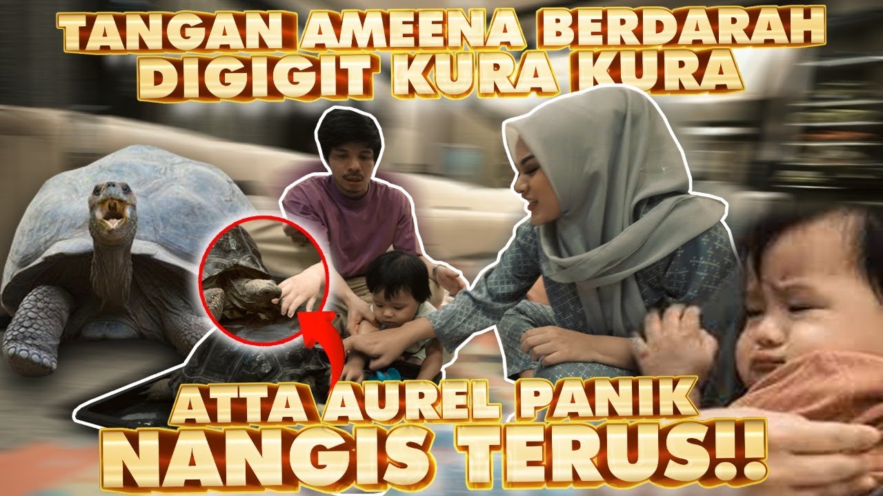 TANGAN AMEENA DIGIGIT KURA KURA!! ATTA AUREL PANIK!
