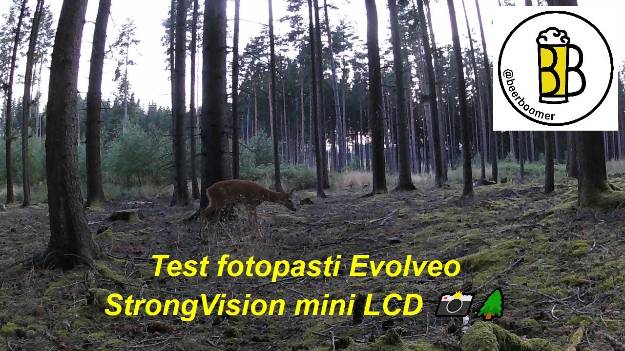 Fotopast Evolveo StrongVision mini LCD – test, ukázky 