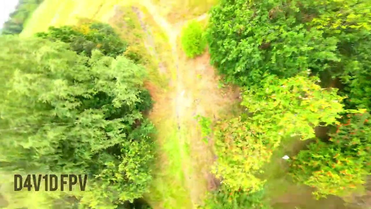 Flying Quads at Sankey Valley. DJI Action 2. #resoluteframes #tmotorfpv #hqprops #speedypizzadrone