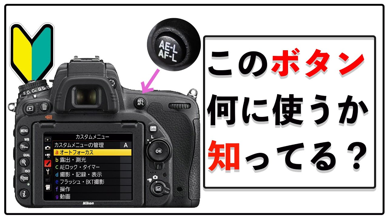 【初心者カメラ講座】AE-LとAF-Lを使うと撮影の不満が解消する