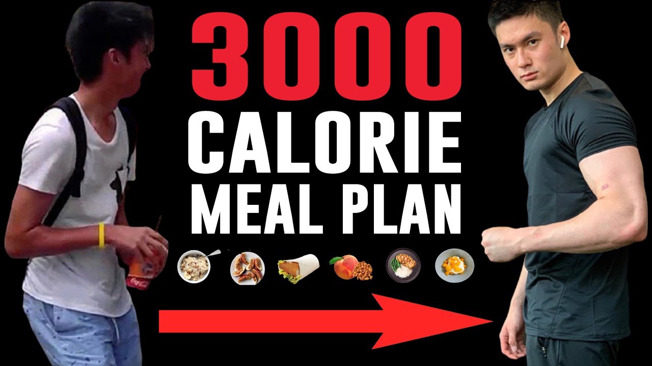 Meal Plan For Skinny Guys to Gain Muscle!