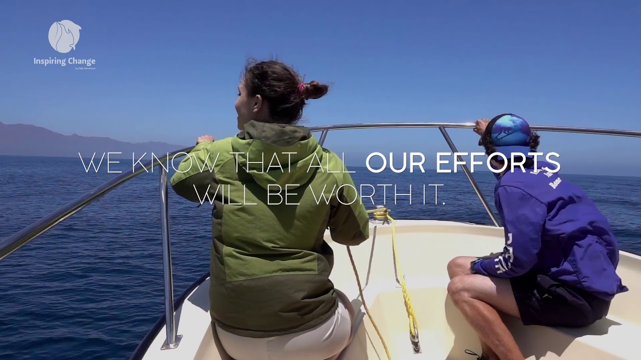 Dolphin Adventure Mission | #BehindtheAdventure