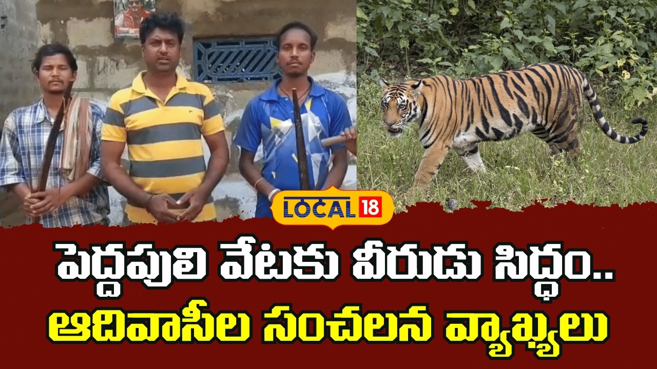 Tribal Villagers Shocking Comments About Tiger | పెద్దపులి వేటకు వీరుడు సిద్ధం.. | #local18v