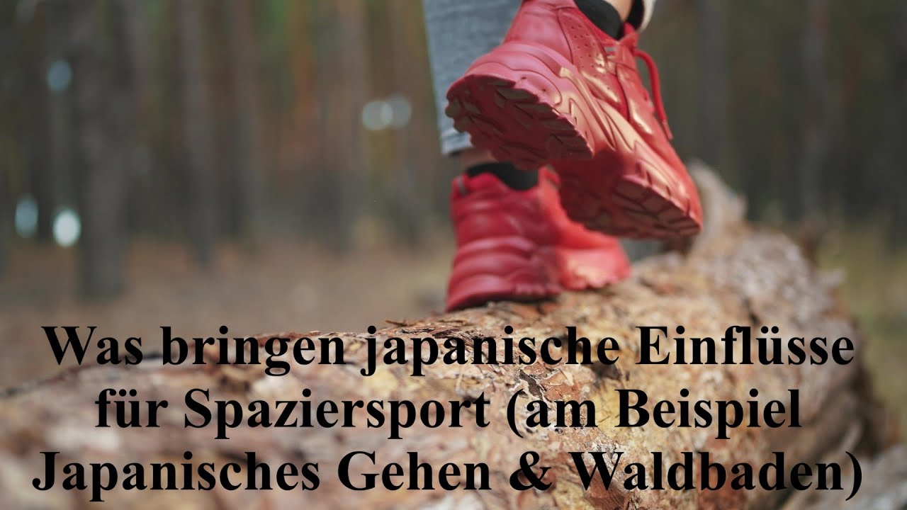 3.9 Was bringen japanische Einflüsse für Spaziersport (am Beispiel japanisches Gehen & Waldbaden)?