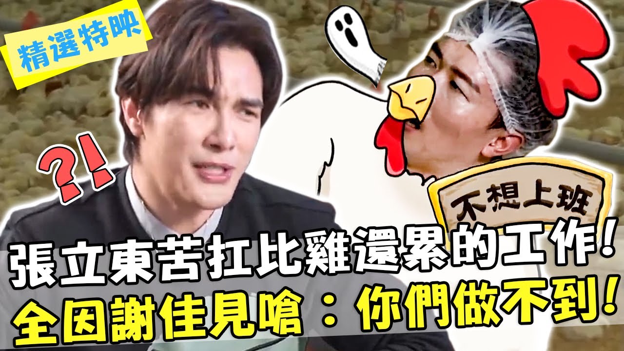 張立東苦扛「比雞還累」的工作！全因謝佳見狠嗆：你們做不到啦！【#開動吧漂亮姐姐】精選特映 謝佳見 張立東 張景嵐