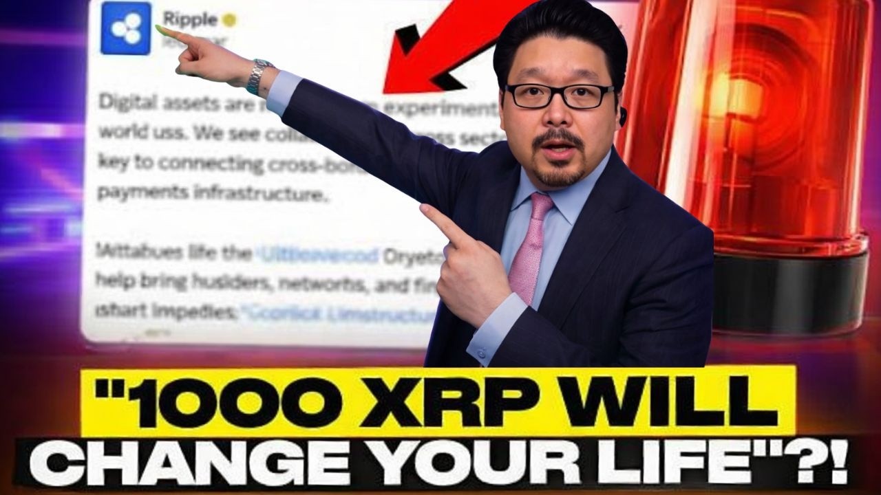 Сделайте это прямо сейчас! 1000 XRP изменят вашу жизнь!