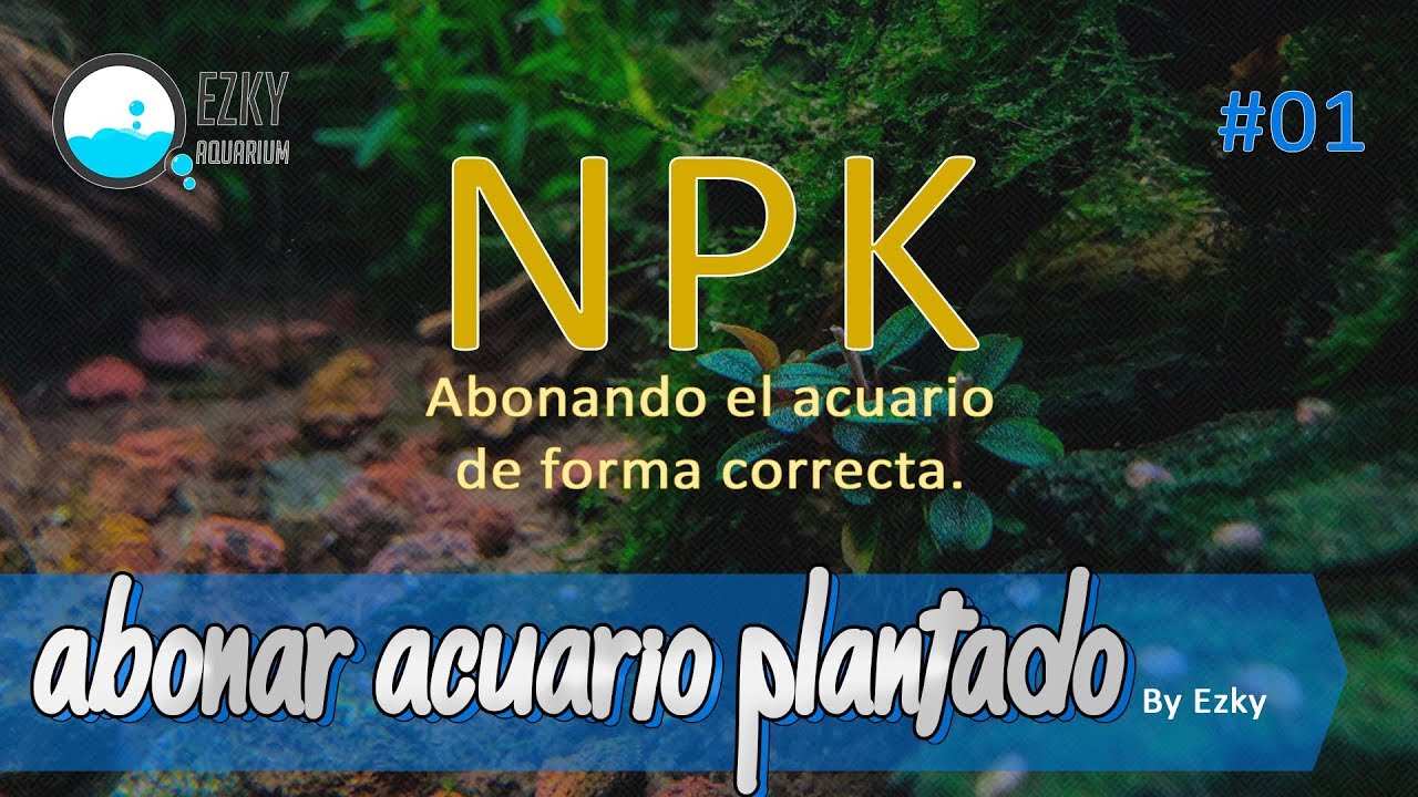 Abonar acuario plantado by Ezky #01