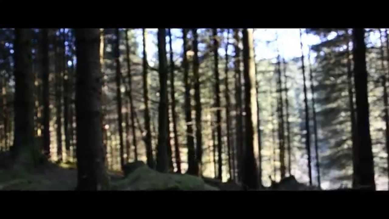 Beluga Lagoon -  To A Place