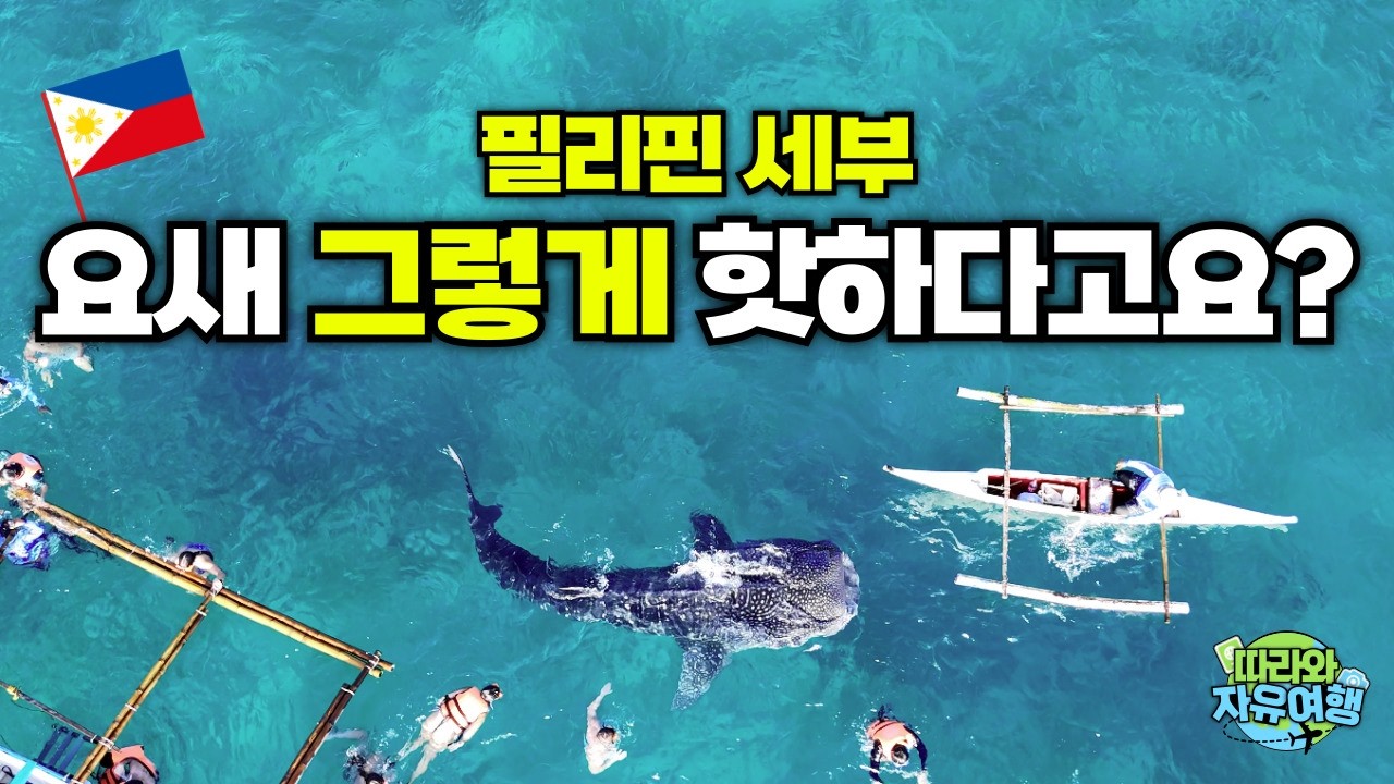 🇵🇭2026년 요즘 '세부' 왜 다시 뜰까? 이유가 뭘까? 직접 가봤습니다😎