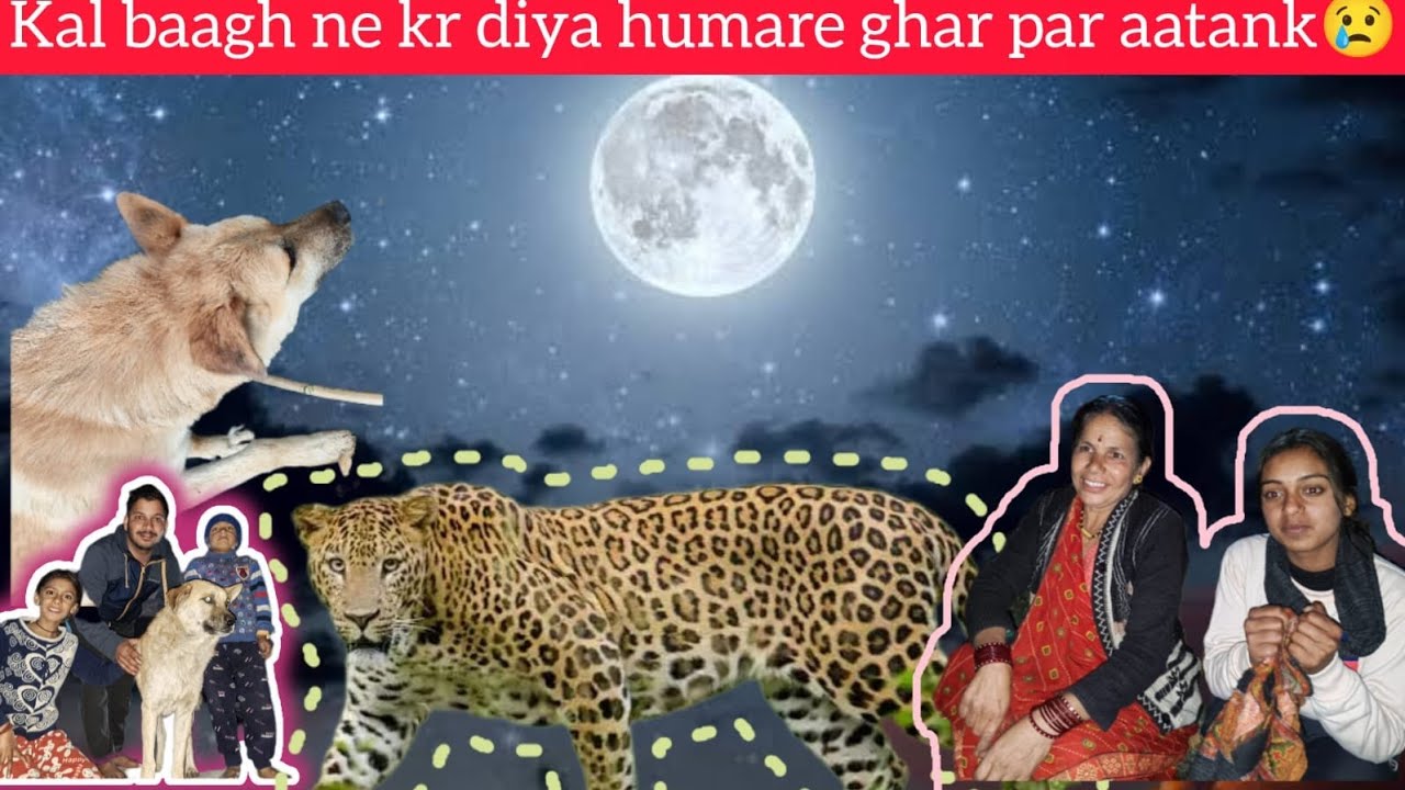 Humare ghar par aaya Baagh 🐯😨 | Mummy bach gyi🐯 Village life #familyvlog @Umeshvlogs37 