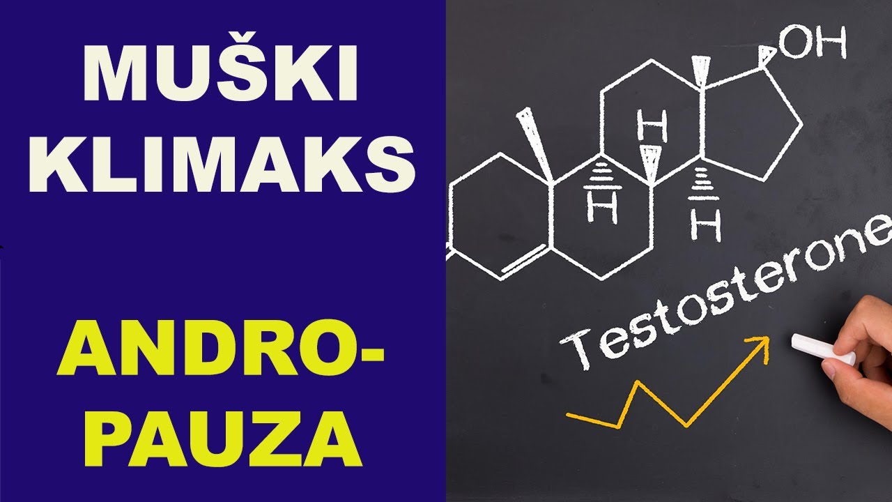 Muški kilmaks - ANDROPAUZA/dr Bojana Mandić