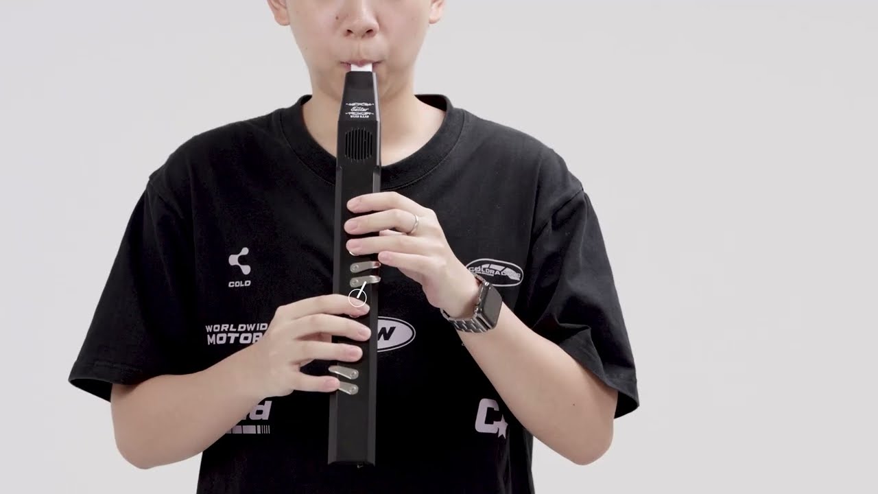 Eastar EDA-100 Digital Aerophone Introduction