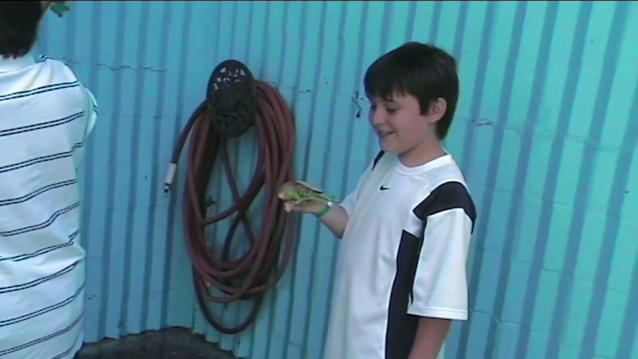 Gatorland - La nostra prima volta - 27 Marzo 2010 (Prima parte)