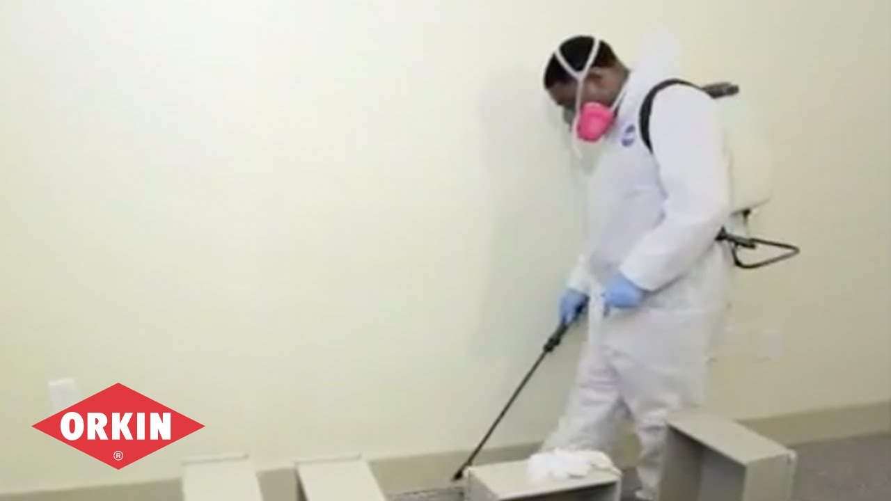 NAA Education Conference: Bed Bug Treatment Options