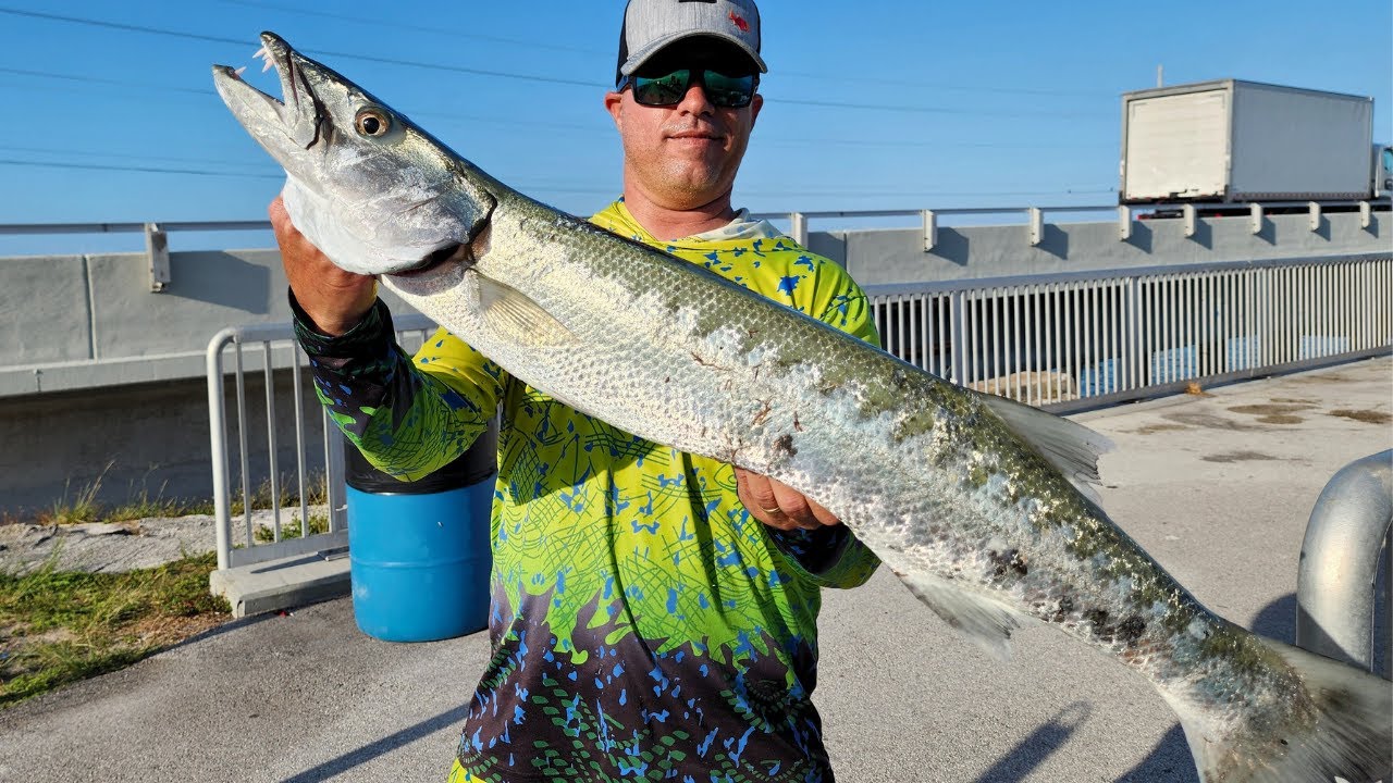 Pesca en puente Con La Carnada Mas Eficiente Del Mundo !