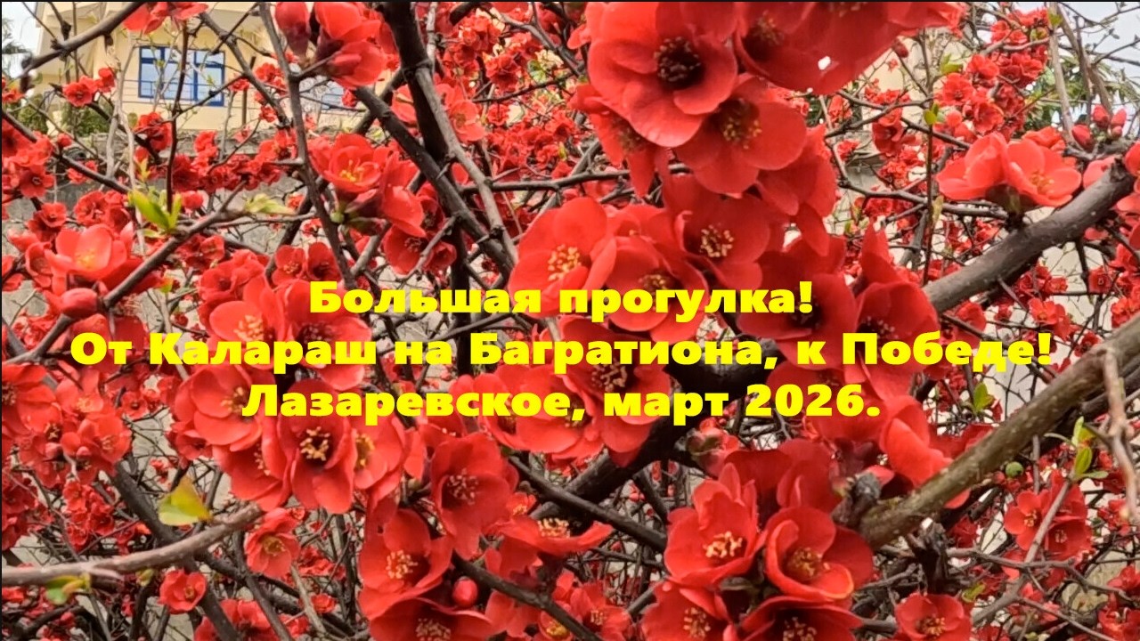 Большая прогулка! от Калараш на Багратион к Победе! Лазаревское , Март 2026.