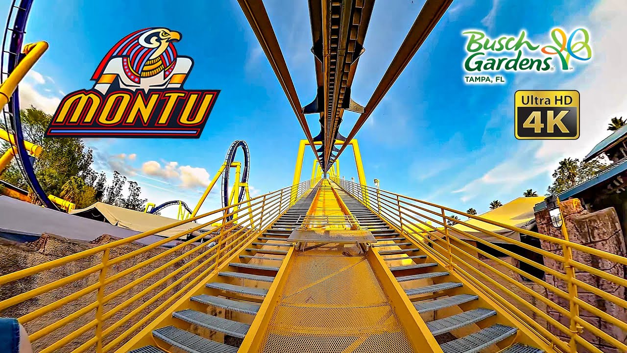 Montu Roller Coaster Front Row On Ride 4K POV Busch Gardens Tampa 2025 03 04