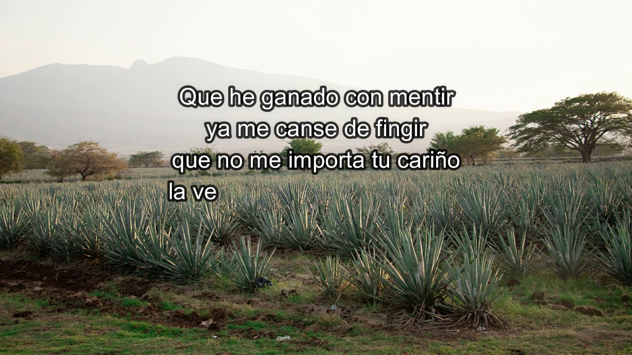 Los Armadillos de la Sierra- A Qui&eacute;n Quiero Enga&ntilde;ar (Lyric Video)