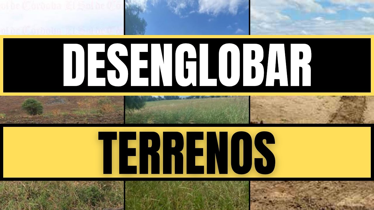 Divisi&oacute;n de inmuebles: el desenglobe