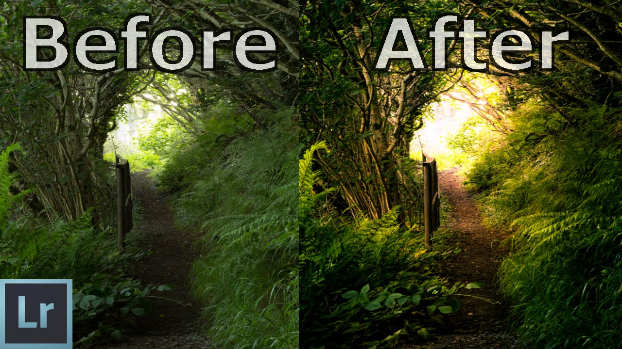 Nature / Forest Photography Editing in Lightroom - Lightroom  cc 2018 Tutorial - WME #006