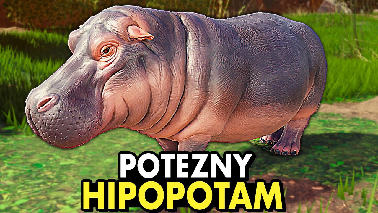Nowy gra w kt&oacute;rej możesz grać HIPOPOTAMEM (The Isle, ale na SAWANNIE)
