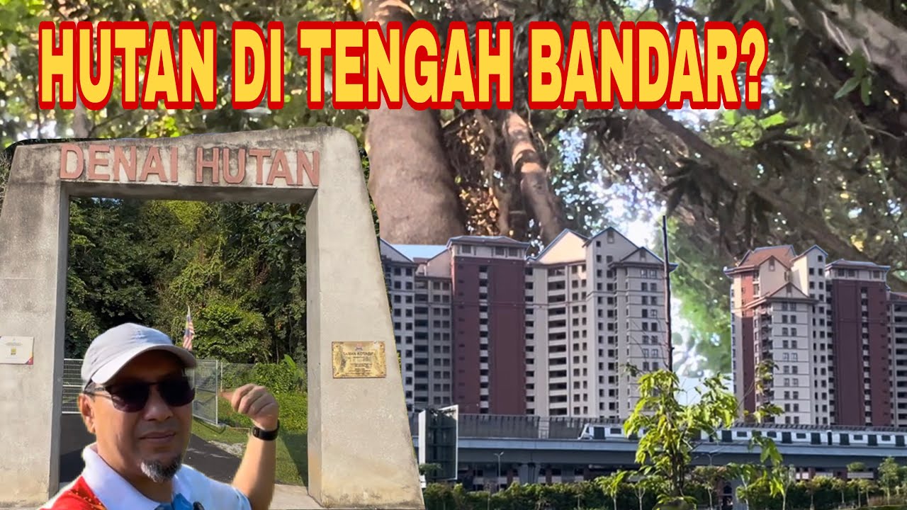Menelusuri Denai Hutan Taman Kota @ PJ, Oksigen Hijau di Tengah Bandar