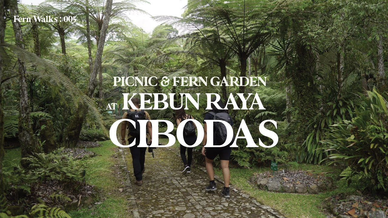 Fern Walks 05 : Picnic in Kebun Raya Cibodas & strolling in Fern Garden