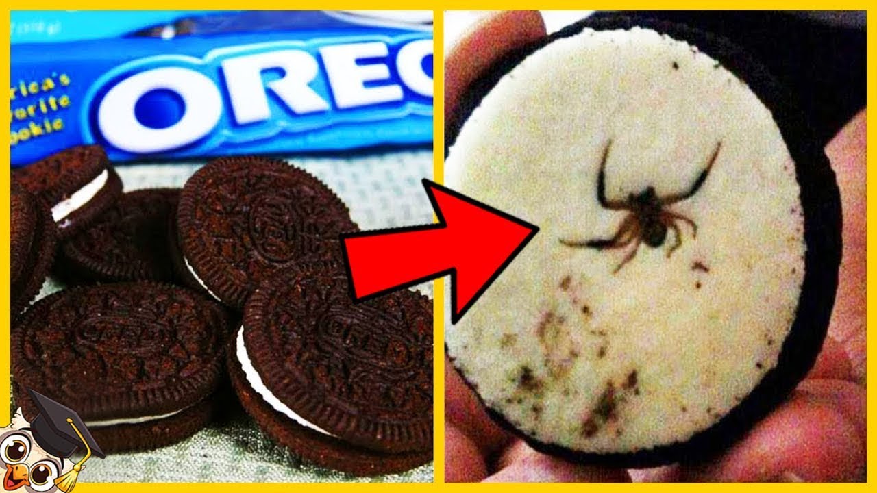 10 Choses les plus Effrayantes Trouvées dans Votre Nourriture Préférée