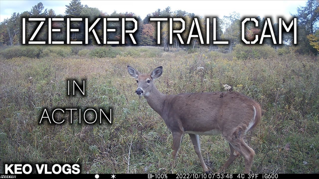 Izeeker Trail Cam