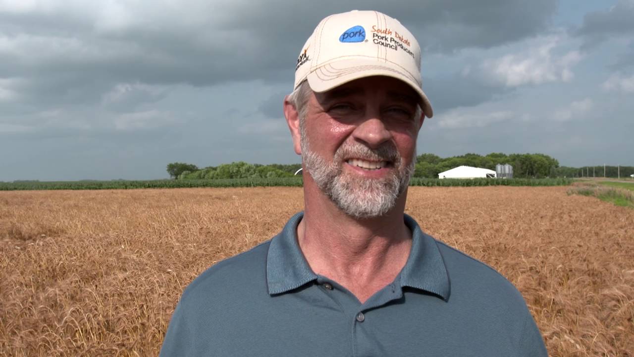 2016 Pig Farmer of the Year Finalist - Craig Andersen