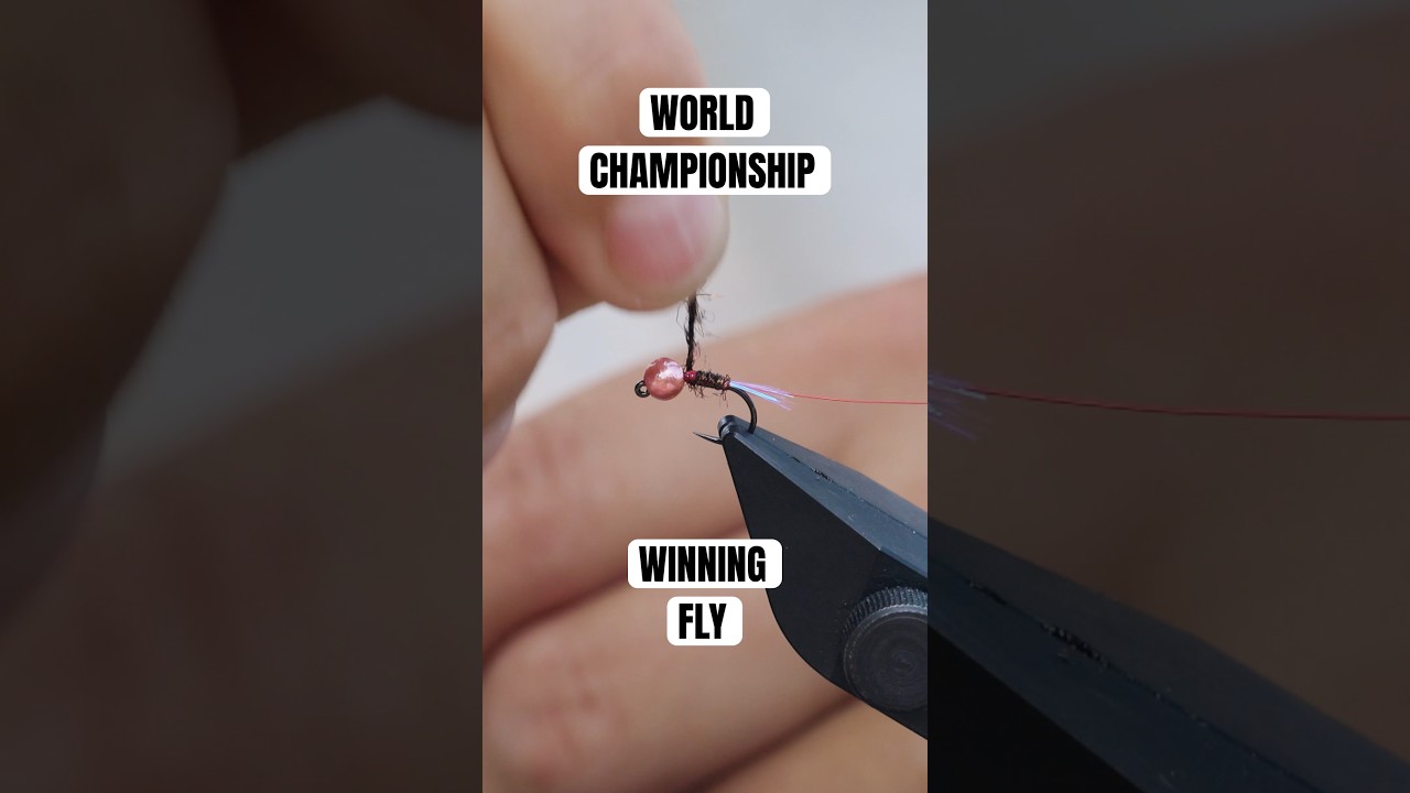 A must-have euro nymph from Signature Tyer Lubos Roza #flytying #euronymphing