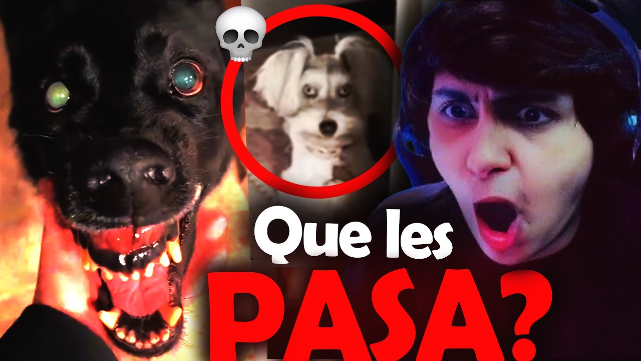 COMO QUE? MI PERRO ES UN  SKINWALKER 💀 - Natalan reacciona.