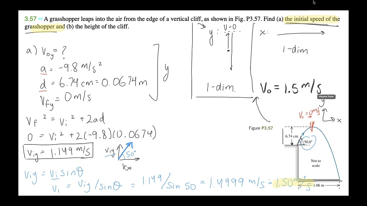 University Physics Grasshopper Problem