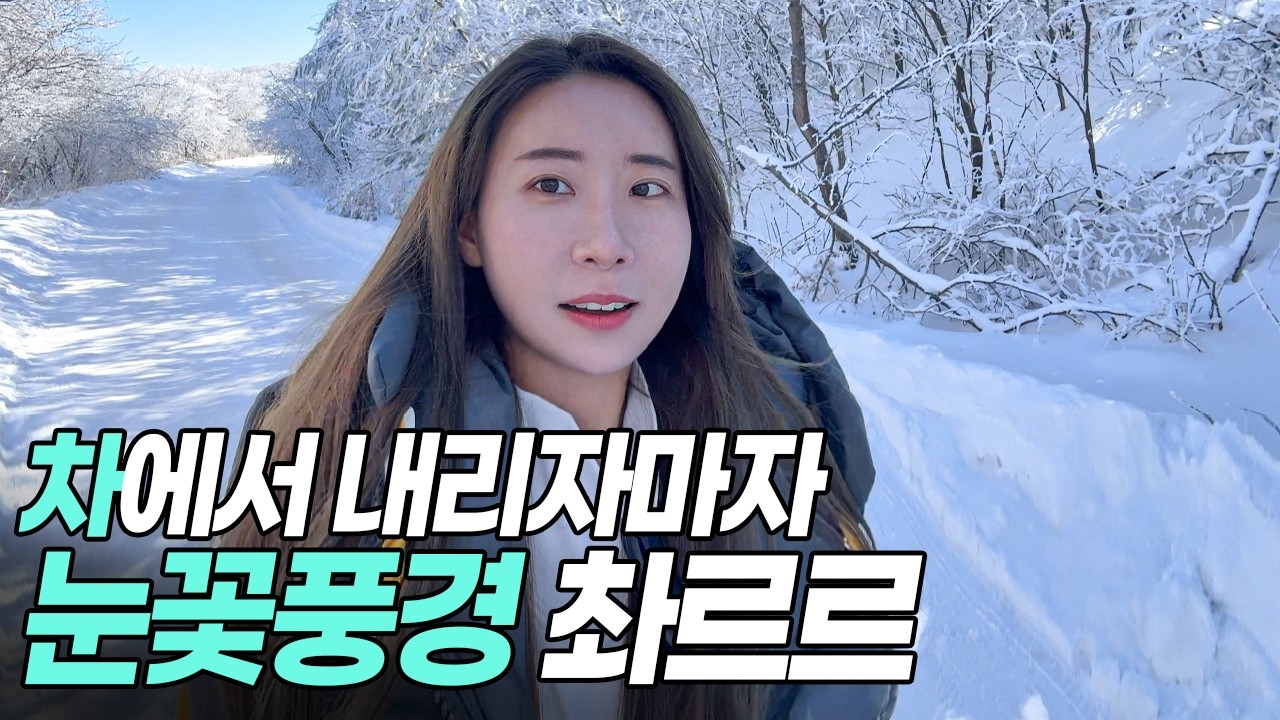 만항재 눈꽃 성공률을 높이는 방법 대공개 겨울등산 겨울산행 함백산 강원도 드라이브 설산