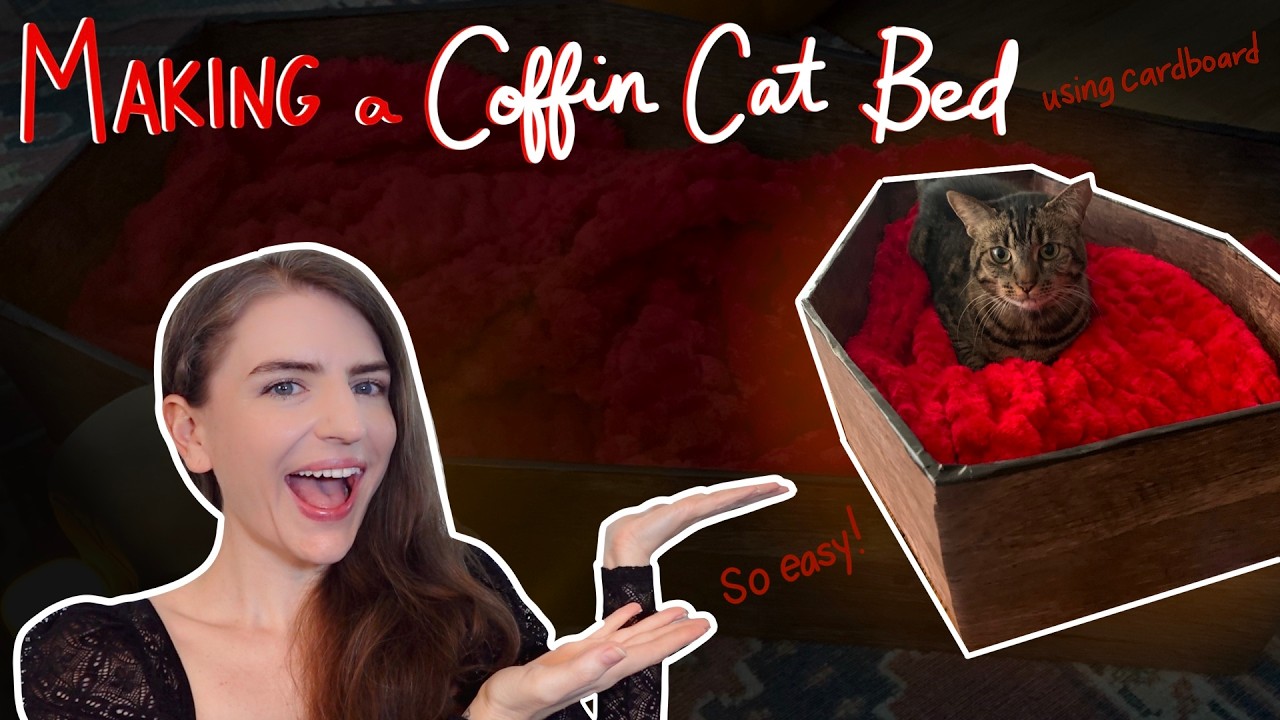 Making a Cardboard Coffin Cat Bed (So EASY)  | Craft with Me!