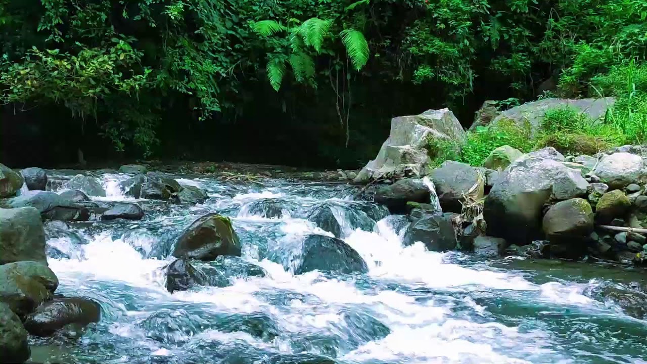 Full Force River Sounds  10 Hours Natural Relaxation Audio