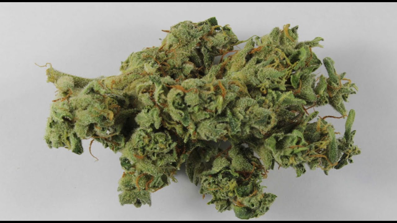Marijuana Testing Yields Fascinating Results