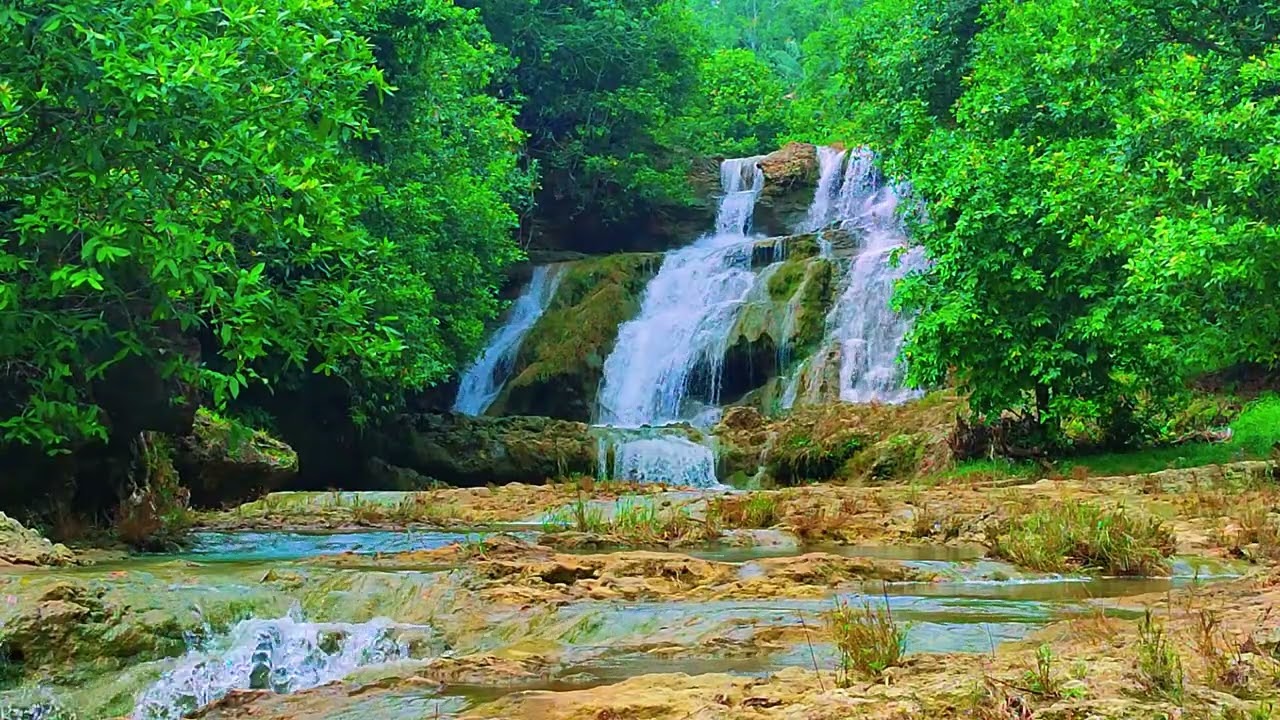 Relaxing Music For Stress Relief, Anxiety and Depressive States🌿 Heal Mind, Sleep Music 46